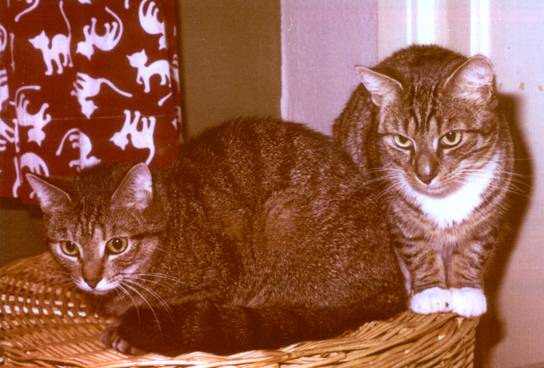 Bonnie und Erna Bonnie und Erna